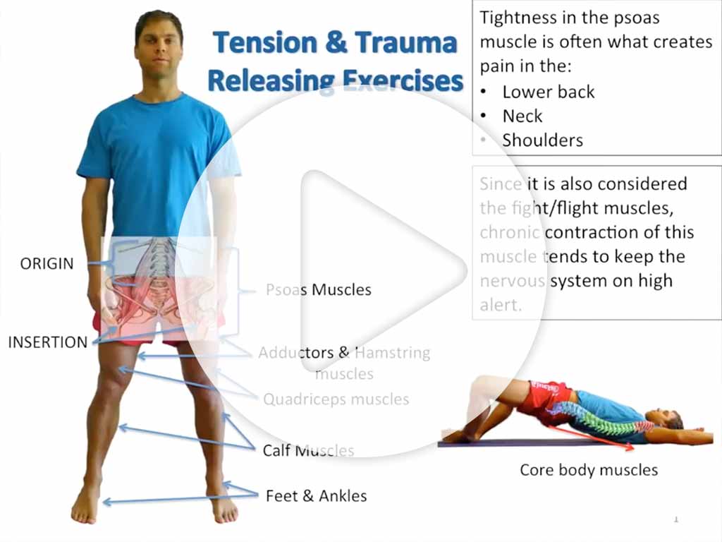 What is TRE - Tension Stress and Trauma Release  TRE